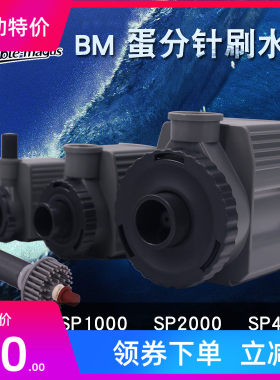 BM蛋分SP600 SP1000 SP2000 SP4000 转子 蛋白质分离器用针刷水泵