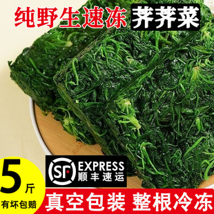 顺丰秦岭速冻冷冻野生荠菜新鲜陕西野生整棵饺子馄饨馅春卷荠荠菜