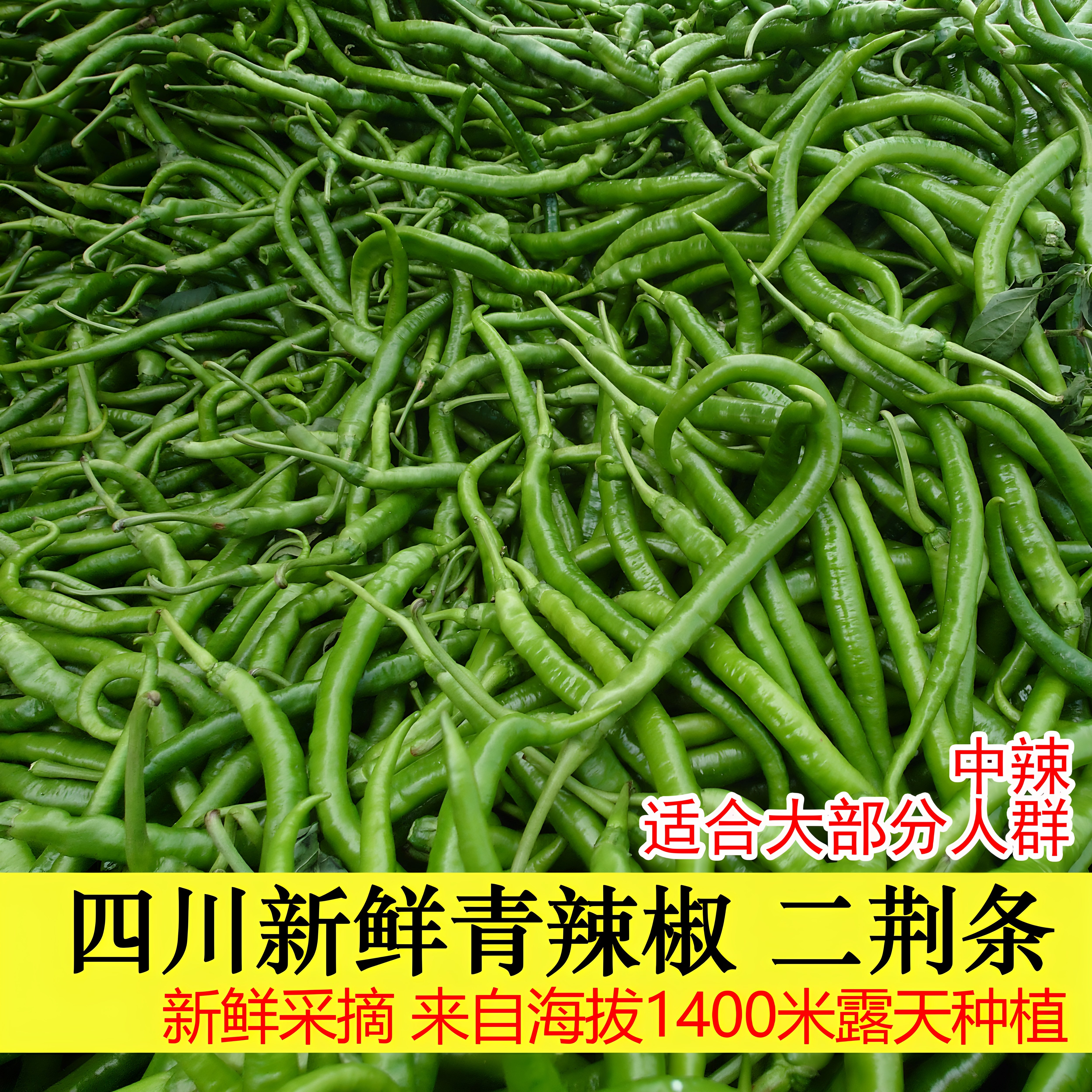 四川新鲜辣椒二荆条青辣椒线椒中辣新鲜采摘新鲜发货新鲜蔬菜当季
