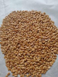 500g 仓鼠鸟类好食物 一件等于一斤 任选5斤 黄金亚麻 包邮 胡麻籽