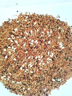 小型鹦鹉（牡丹玄风草科太平洋）养殖场配方粮（1）500g