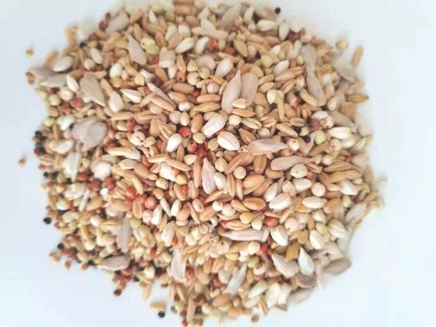 宠物金刚.亚力山大金太阳小太阳中型鹦鹉混合食料/鸟食/鸟粮 500g,宠物/宠物食品及用品,鸟食,淘宝优惠券,粉丝福利购,淘宝优惠卷