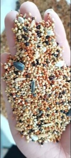 牡丹玄风太平洋 小型鹦鹉饲料（3）脱壳鸟粮无壳营养粮 拍1件=5斤