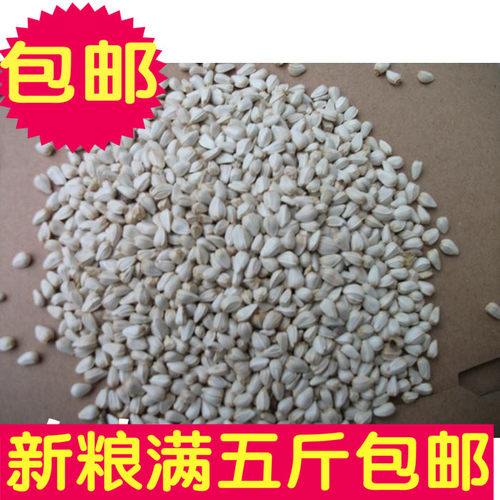 宠物新粮红花子/红花籽/白瓜子仓 鹦鹉 鸟食一件是一斤 满5斤包邮 - 封面