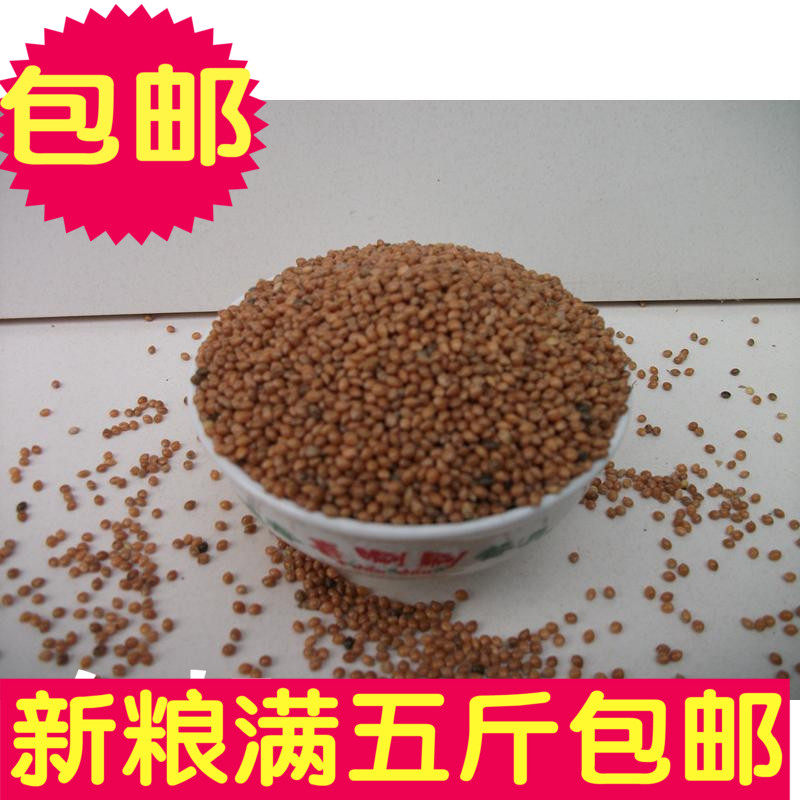 黄黍子/带壳大黄米/黍子 仓鼠鹦鹉粮食拍一件等于一斤 5斤包邮