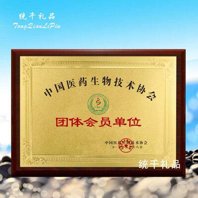 协会定制金箔包邮木托奖牌