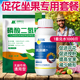 磷酸二氢钾流体硼糖醇硼叶面肥促花坐果套餐催花促授粉果树蔬菜保