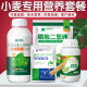 小麦专用叶面肥增产套餐磷酸二氢钾芸苔素防冻促根返青分蘖抗倒伏