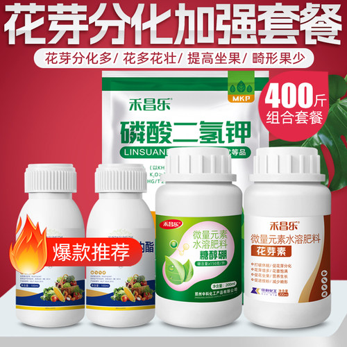 花芽分化素增强套餐催花剂叶面肥