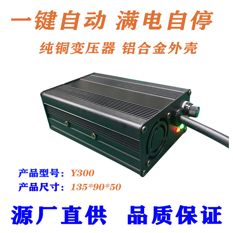 48V电瓶车60V72电动摩托车充电器