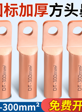 国标方头DT铜鼻子FDT10-300平方铜接线端子断路器空开堵油铜接头