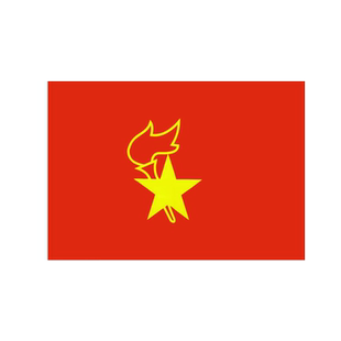 少先队队旗手持中国少年先锋队队旗大队旗手拿小学生少先队员队旗中队旗小队旗旗帜队旗大号120*90cm春亚纺