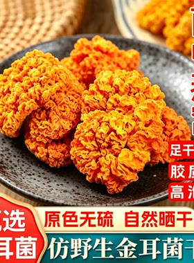 金耳干货仿野生天然金耳菌干货无硫自然晾晒与烘干无添加胶质多