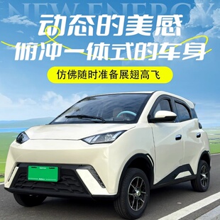 新款电动小四轮海鸥代步车成人家用老年女士油电两用全封闭接送