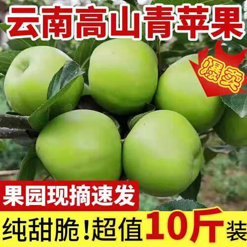 现摘云南昭通青香蕉青苹果新鲜10斤装当季整箱包邮脆甜孕妇水果甜