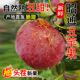 包邮 正宗云南昭通丑苹果冰糖心当季 整箱 高山现摘脆甜新鲜水果10斤