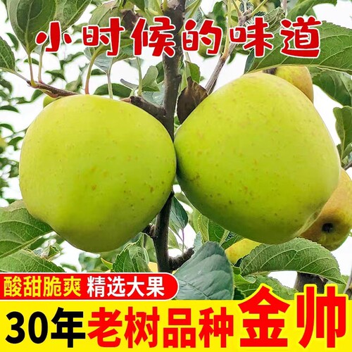 昭通老黄金帅青苹果水果酸甜