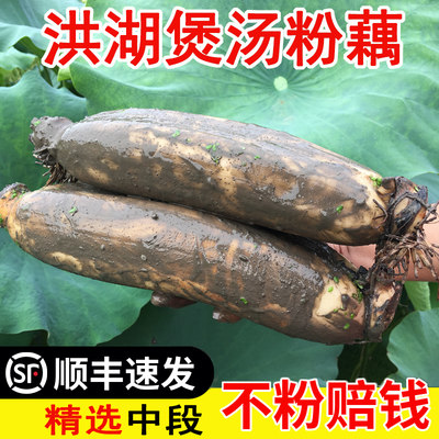 【正宗洪湖粉藕】软糯香甜