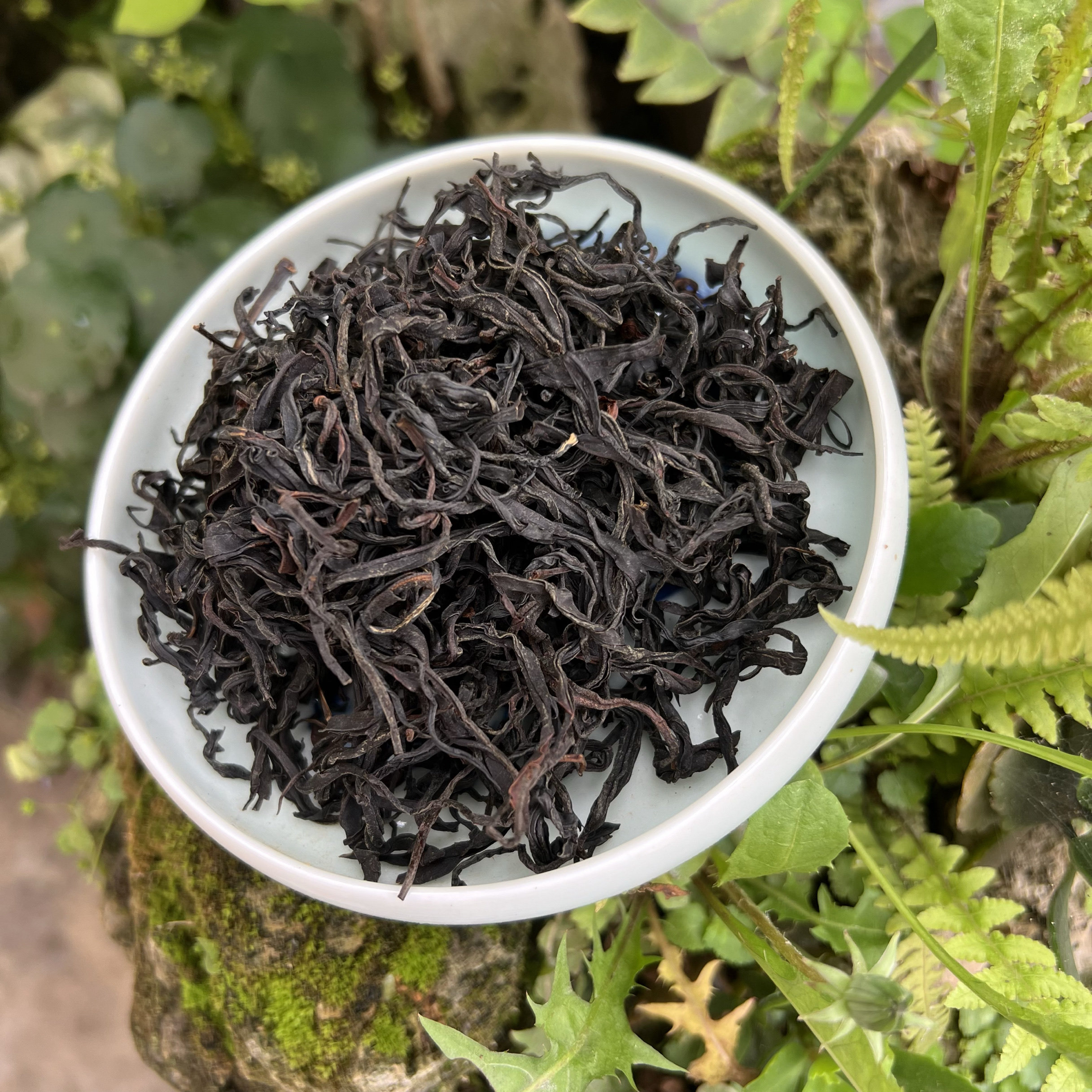 贵州普安深山隐士四球古茶红茶 散装茶