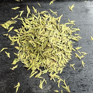 贵州绿茶普安2026年新茶乌牛早、龙井43号茶树品种龙井工艺扁型茶