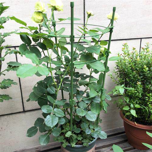 阳台月季攀爬花架藤本铁线莲爬藤架花盆支架室内盆栽植物爬藤架