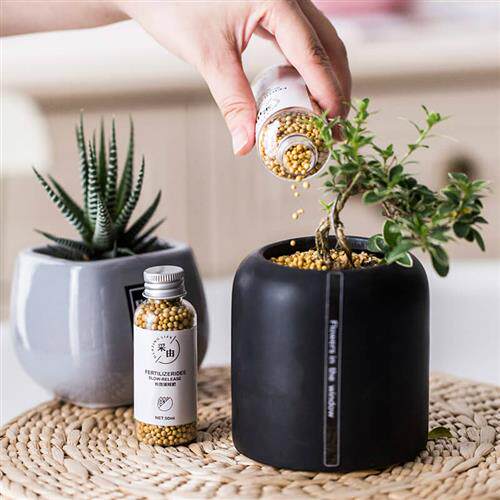 进口小白药蚧壳虫杀虫剂花卉植物防虫药室内花肥家用营养肥料通用
