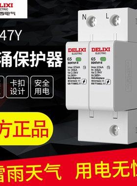 德力西浪涌保护器 电涌 家用防雷电击220v避雷器2P 40KA 4P 65KA
