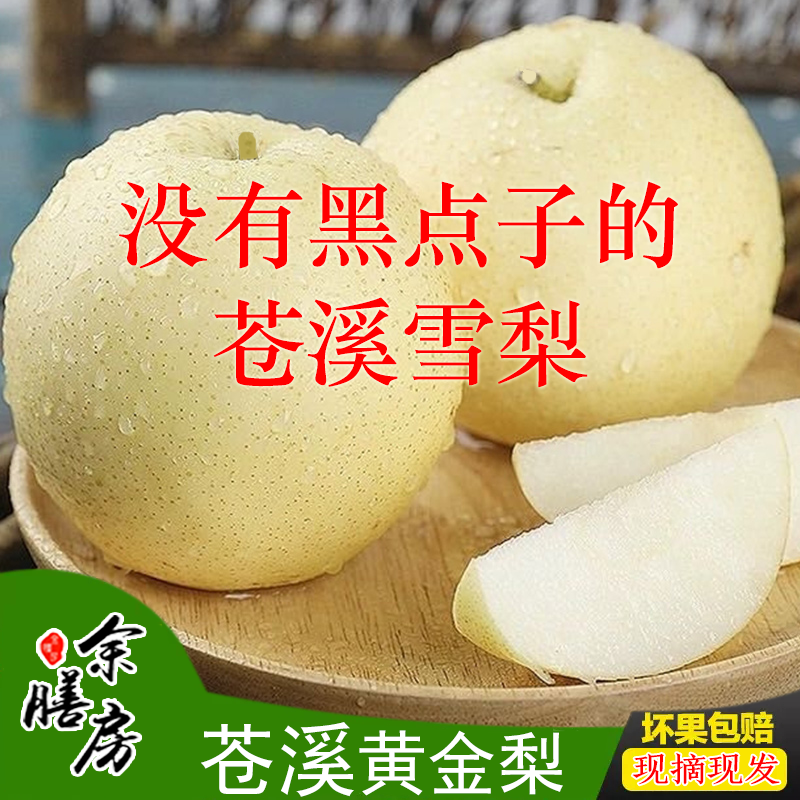 四川广元苍溪县特产黄金梨苍溪雪梨施家梨替代品种果肉无黑点包邮