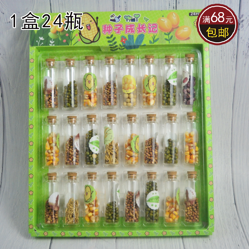 科学种植套装观察小盆栽迷你农场植物种子文创店培训机构礼品奖励