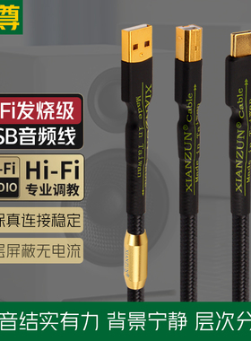 线尊 发烧USB音频线Typec转方口A-B电脑声卡连接线手机OTG解码器