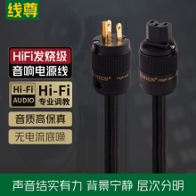 线尊 HiFi音响电源线发烧级功放电源线CD机胆机前后级美标连接线