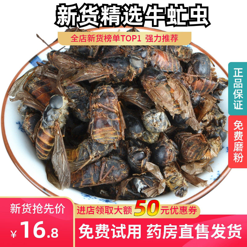 中药材牛虻虫500g克包邮 大虻虫 牛虻 牛蚊子 牛苍蝇瞎虻虫牛虻干