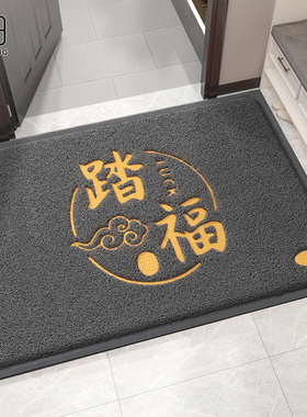 入户门地垫进门2025新款丝圈脚垫大门口家用门垫门外防滑耐脏地毯