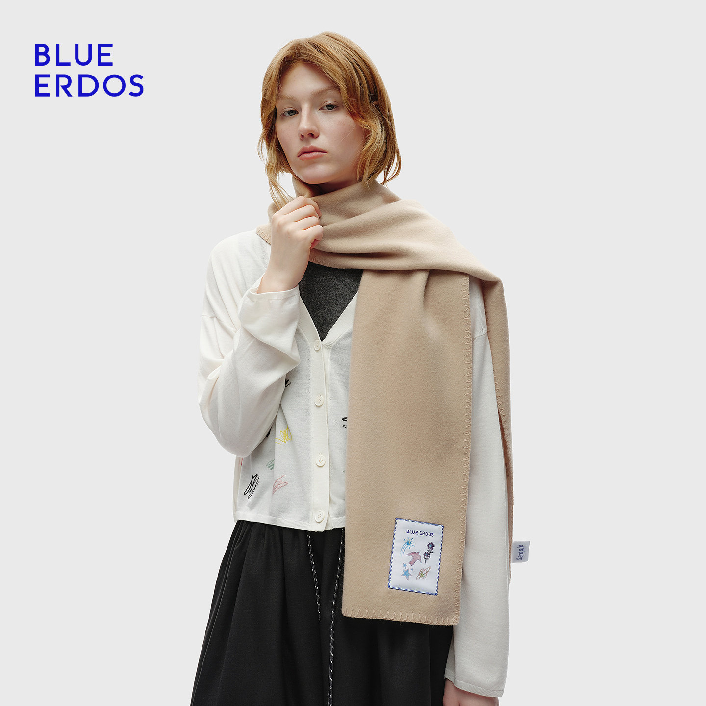 【100%山羊绒】BLUE ERDOS春季新品百搭刺绣元素围巾B256S1016