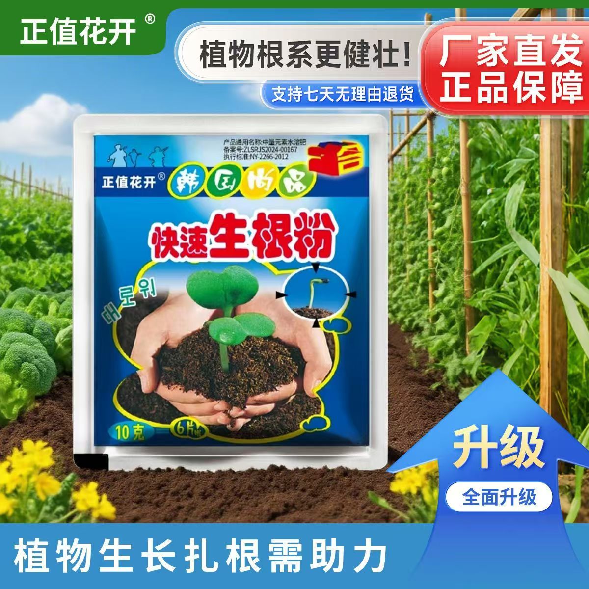 快速生根粉植物通用扦插移栽强力生根剂果树苗蔬菜多肉花卉水溶肥