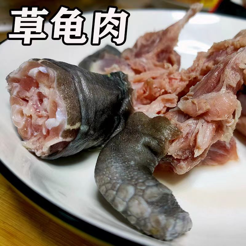 盈佳中华草龟肉清莲金龟肉塘养去壳去内脏去老皮去头红烧煲汤包邮