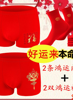 本命年男士内裤纯棉宽松红色结婚四平角短裤袜兔青年抗菌加肥大码
