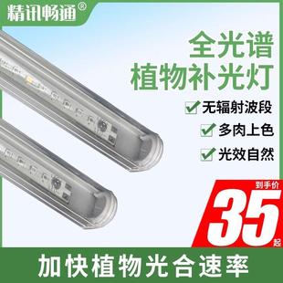 植物补光灯220V全光谱家用室内绿植上色仿太阳光育苗植物生长灯