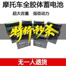 50干电池 适用新大洲本田摩托车电瓶锐箭金锋锐SDH125