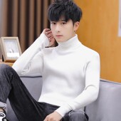 内搭打底衫 2024秋冬季 上衣服 韩版 潮流针织毛线衫 新款 高领毛衣男士