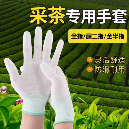 采茶手套摘茶叶专用快递打包薄款