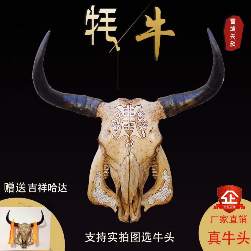 牛头骨工艺品牛头骨标本牛头装饰墙挂牛头摆件羊头骨标本牛头挂件