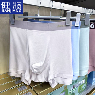 3条装健将男士内裤莫代尔四角短裤头抗菌平角内裤大码裤衩26新款