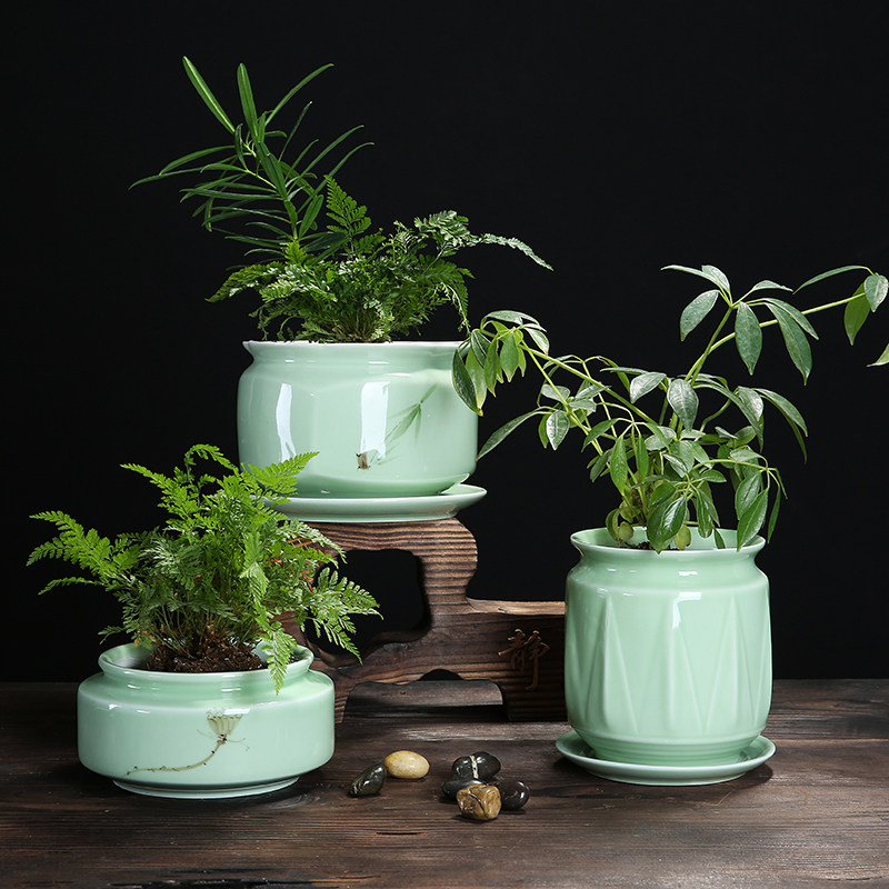 简约大号青瓷花盆绿植带托盘个性桌面中国风多肉绿萝陶瓷小盆栽