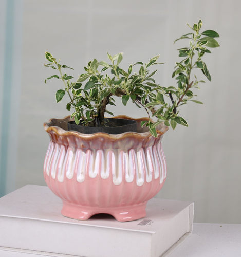 素烧创意粗陶透气大口径多肉花盆