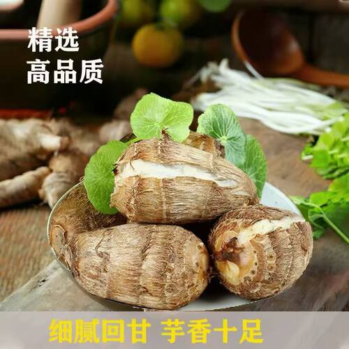 山东现挖牛奶小芋头奶香软糯
