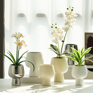 网红奶油风蝴蝶兰花盆专用套盆高脚盆室内家用高级陶瓷文心兰花瓶
