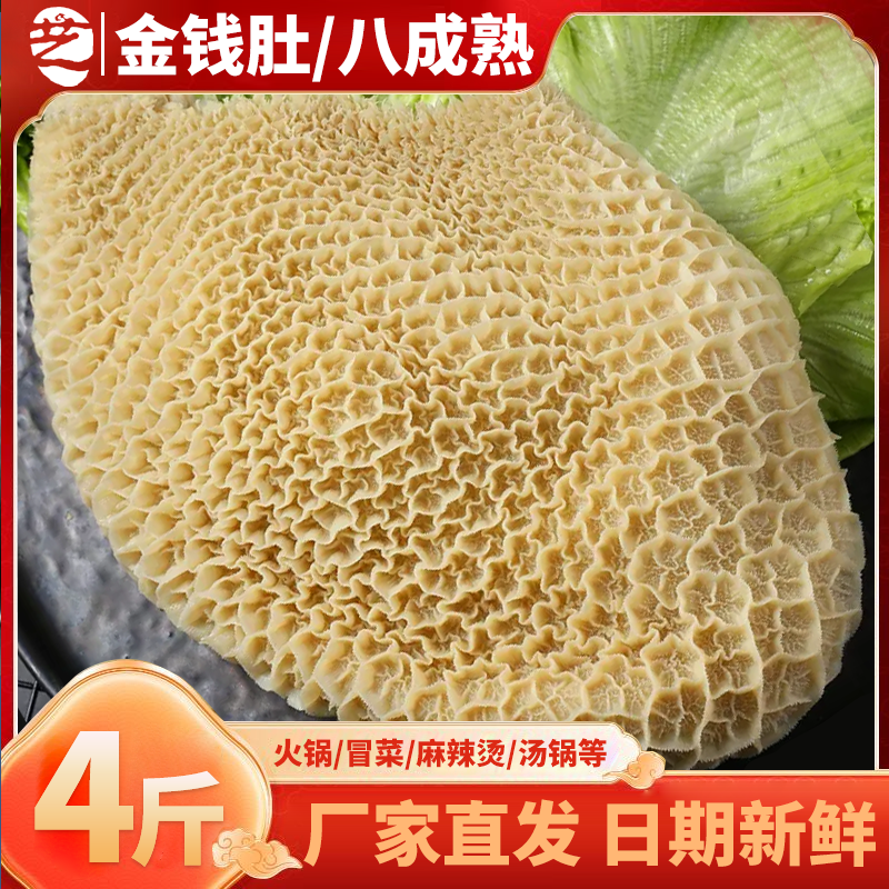 牛肚新鲜金钱肚4斤蜂窝肚商用非全熟牛大肚牛杂火锅食材串串卤菜