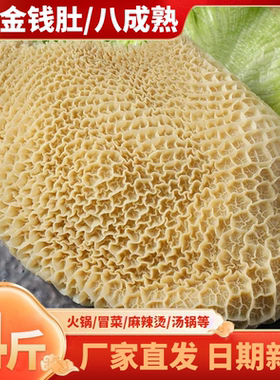 牛肚新鲜金钱肚4斤蜂窝肚商用非全熟牛大肚牛杂火锅食材串串卤菜