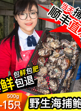 威海孙小乔海鲜水产鲜活野生天然大鲍鱼13-15头/500G